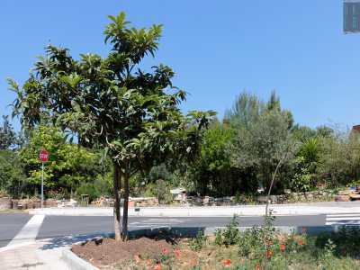 Siamo dalle parti di via Fanelli, all�altezza delle casermette. Non ci sono cancelli a proteggere il giardino: � aperto a tutti e al servizio del vicinato 